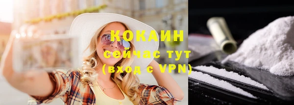 ПСИЛОЦИБИНОВЫЕ ГРИБЫ Богданович