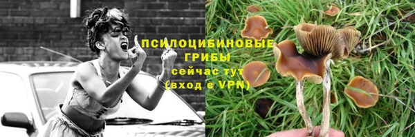 ешки Корсаков