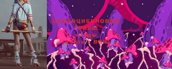 кокс Белокуриха