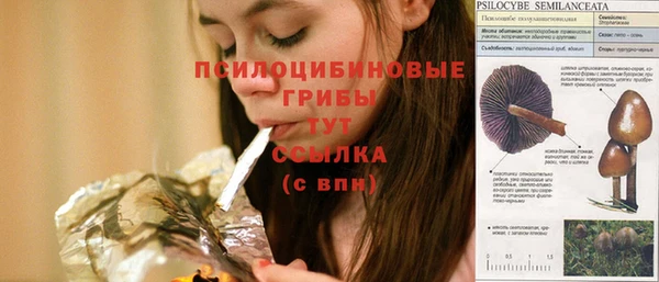 марки nbome Горнозаводск